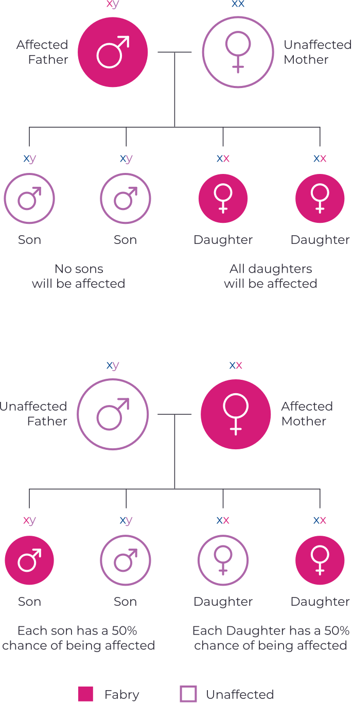 Fabry disease chart