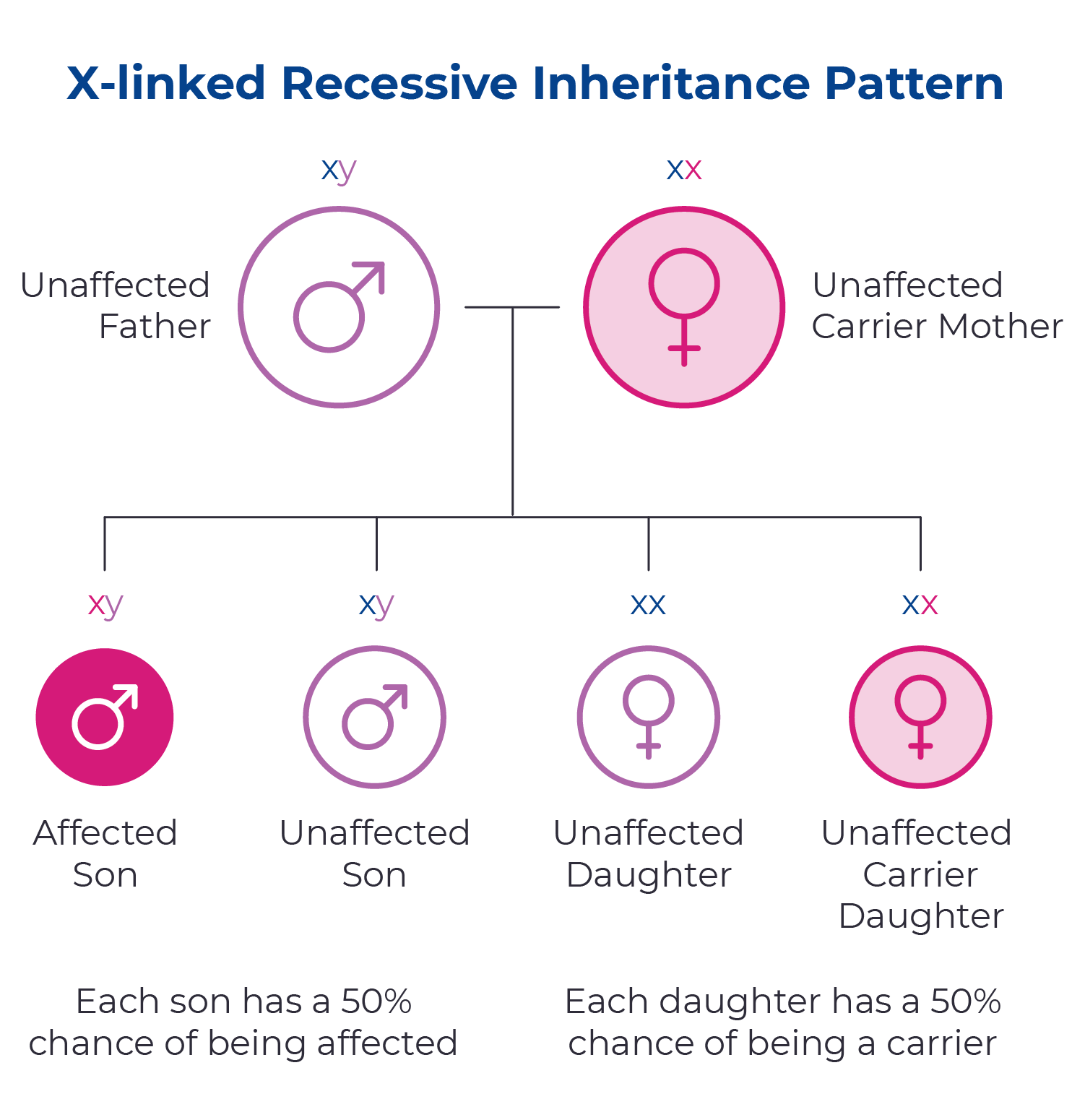 Hunter Syndrome inheritance chart